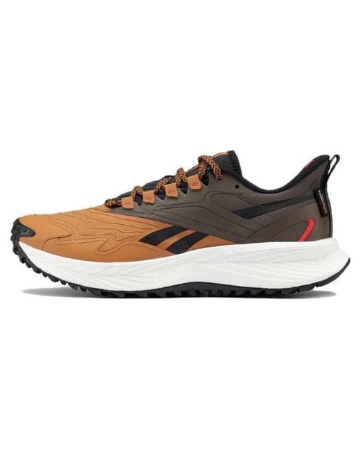 Reebok Brown Floatride Energy 5 Adventure 'Coubro Gro' for men