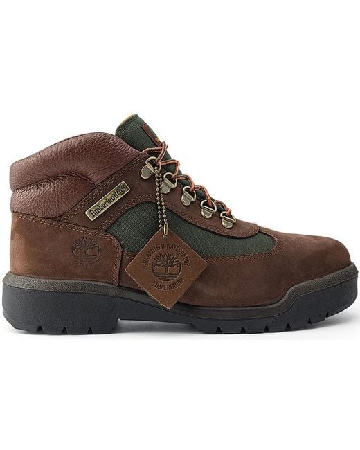 Timberland Brown Field Boot F/L Waterproof for men