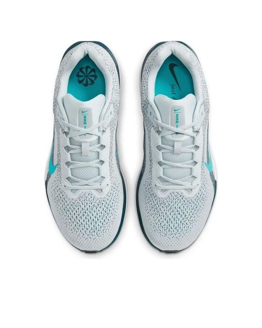 Nike Blue Winflo 11 Straßenlaufschuh for men