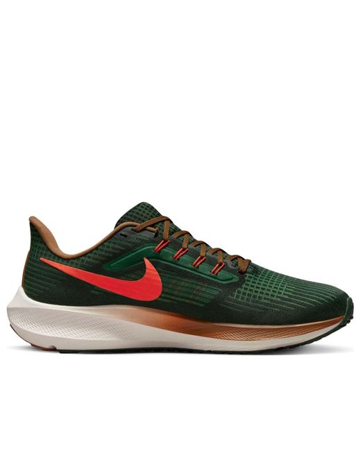 Nike Brown X Hola Lou Air Zoom Pegasus 39 'A.I.R. for men