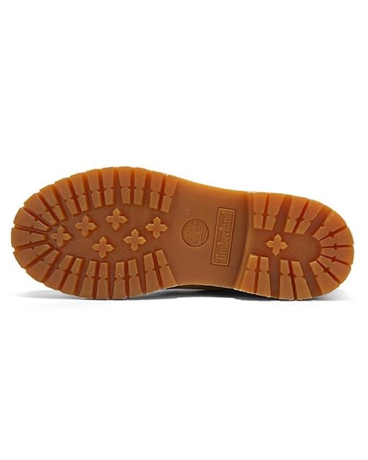 Timberland Brown (Wmns) Icon Waterproof Nubuck Leather Boot