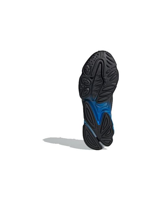 Adidas Blue Originals Ozweego Sports Casual Shoes for men