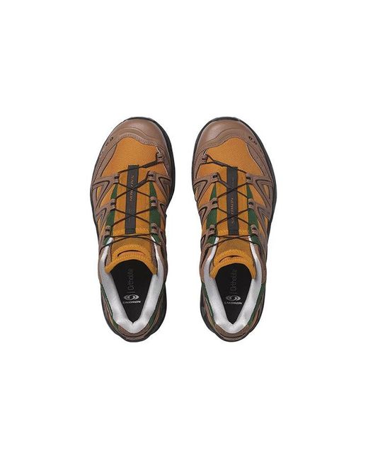Salomon Brown Xt-Quest 75 for men