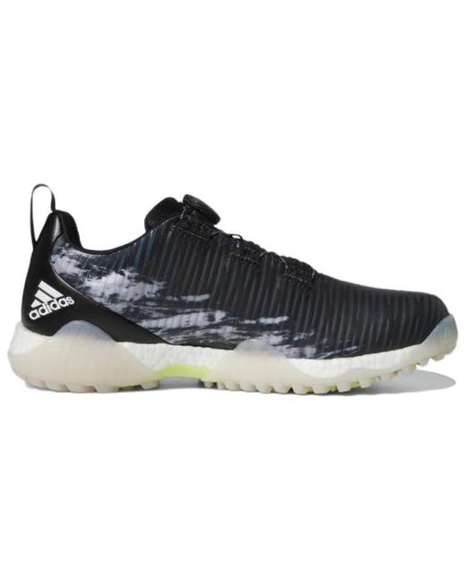 Adidas Blue Codechaos Boa Low for men