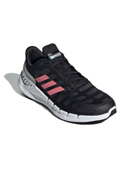Adidas Blue (Wmns) Climacool Ventania