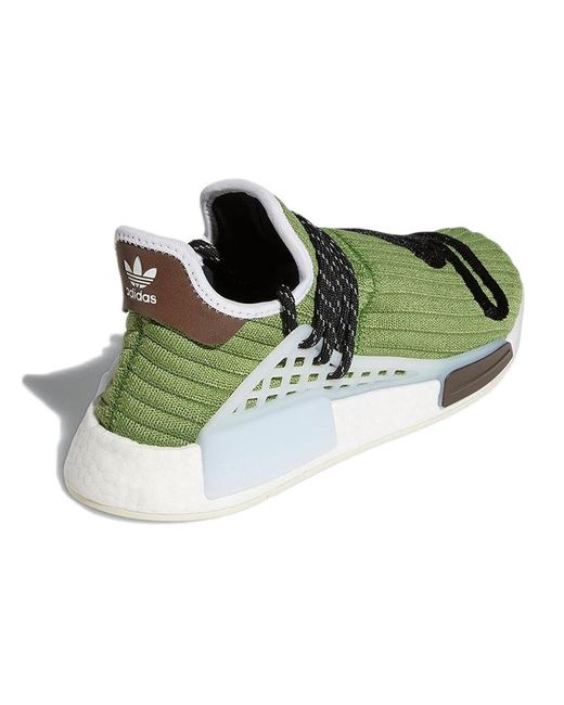 Adidas Green X Bbc Ice Cream X Pharrell Nmd Hu 'Running Dog' for men
