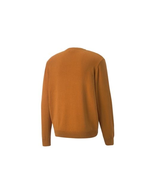 PUMA Brown Players Lounge Knit Crew Neck for men