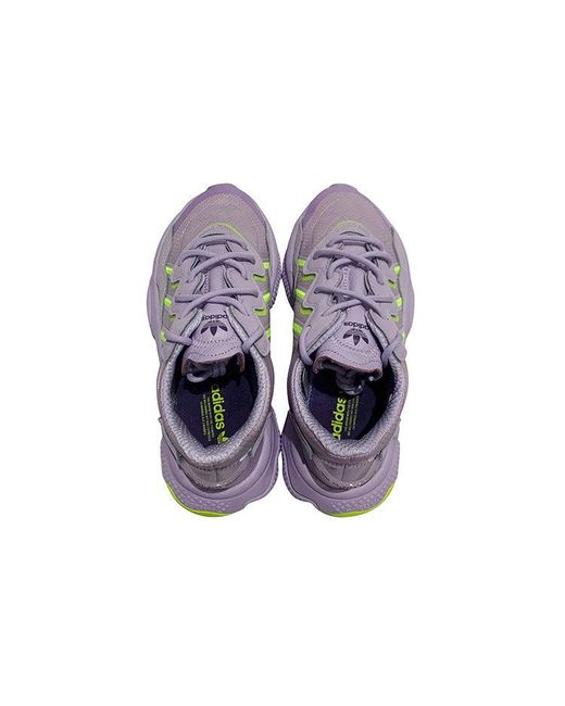 Adidas Purple (Wmns) Originals Niteball