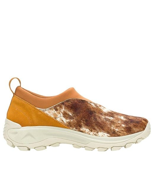 Merrell Brown Winter Moc 3 Ch Se 'Spice' for men