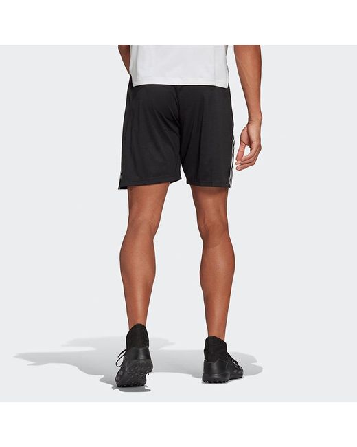 Adidas Blue Tiro21 Tr Sho 3 Bands Soccer Sport Shorts for men