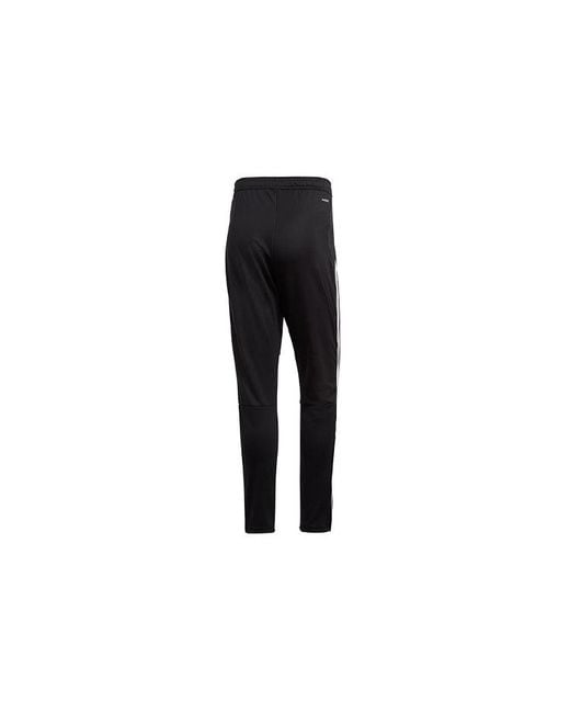 Adidas Black Tiro Ds Pnt Footballsports Long Pants for men