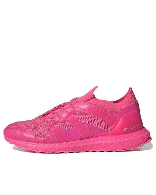 Adidas Pink Predator Accelerator Trainers for men