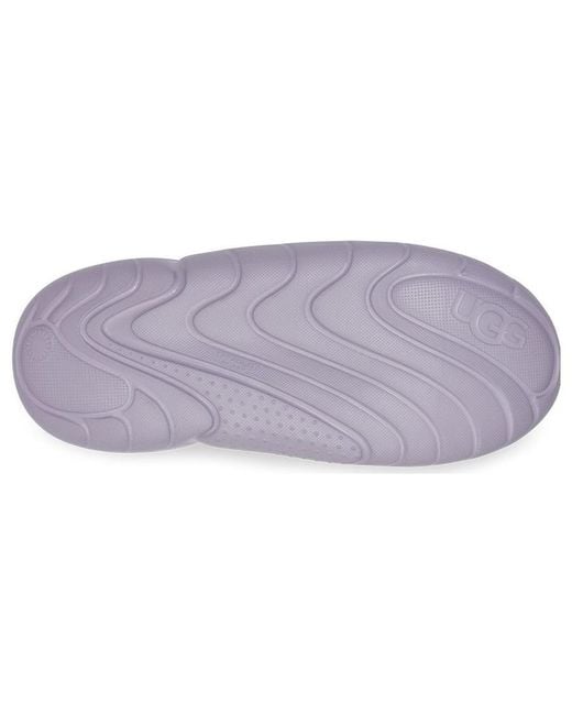 Ugg Purple (Wmns) La Cloud Lace