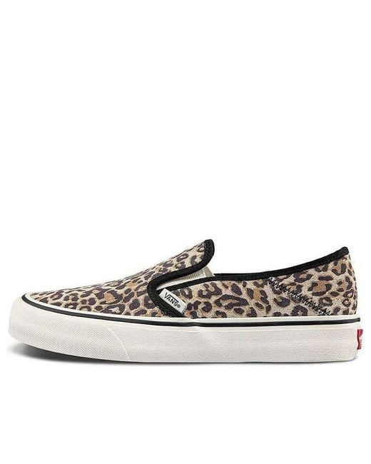 Vans Multicolor Slip-On Sf 'Cheetah' for men