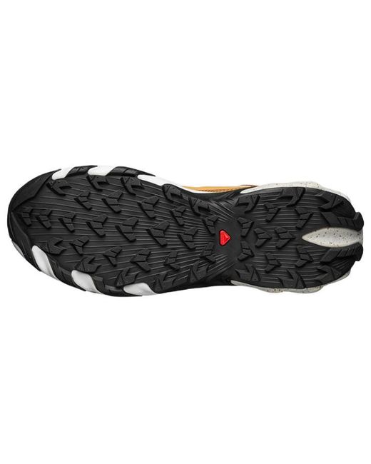 Salomon Brown Speedverse Prg for men