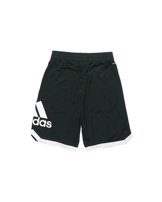 Adidas Black Badge Of Sport Short Dri-Fit Sports Short for men