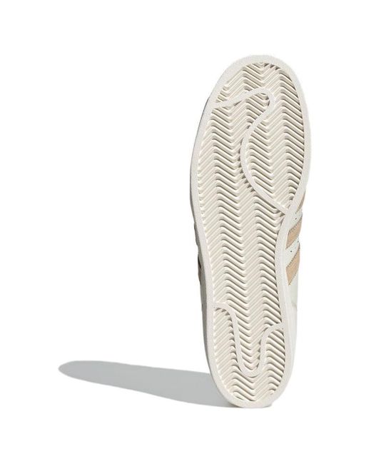 Adidas White Originals Superstar Tan' for men