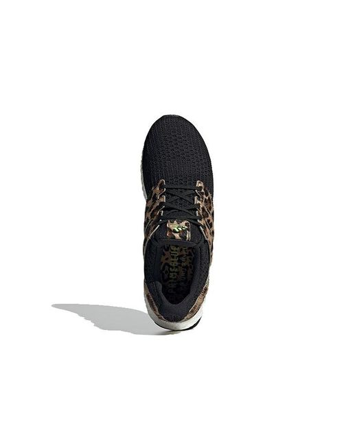 Adidas Black Ultraboost Dna 'Animal Pack for men