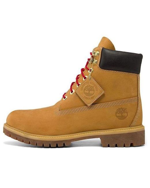 Timberland Brown 6 Inch Waterproof Premium Boots 'Wheat' for men