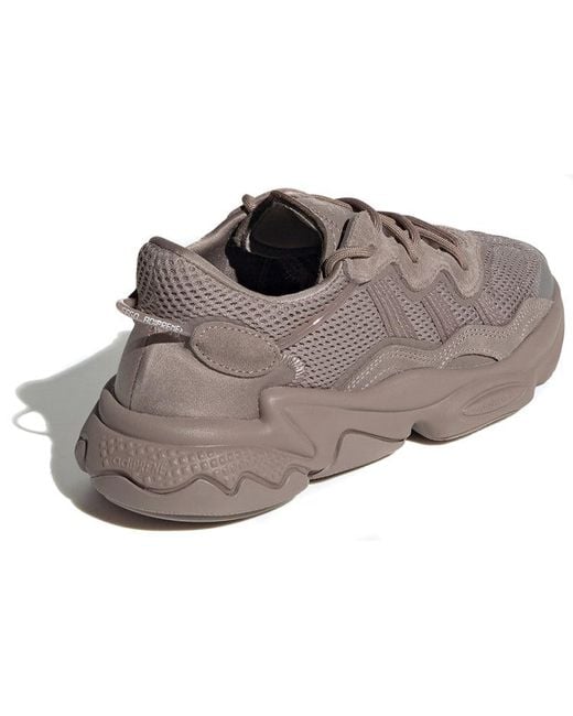 Adidas Brown (Wmns) Ozweego 'Lava'
