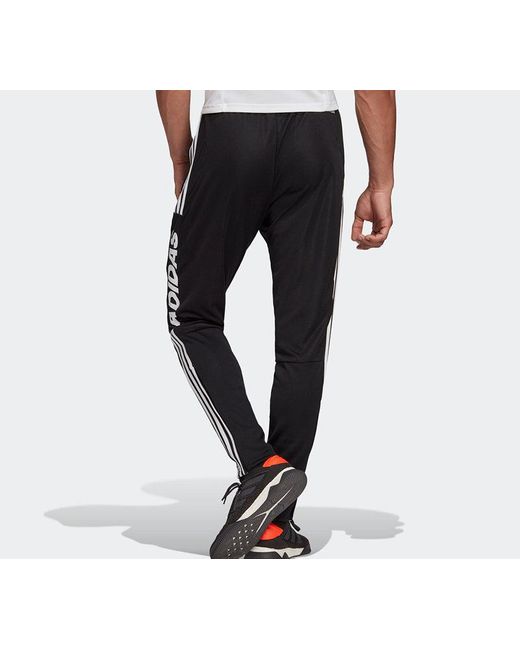 Adidas Black Tiro Ds Pnt Footballsports Long Pants for men