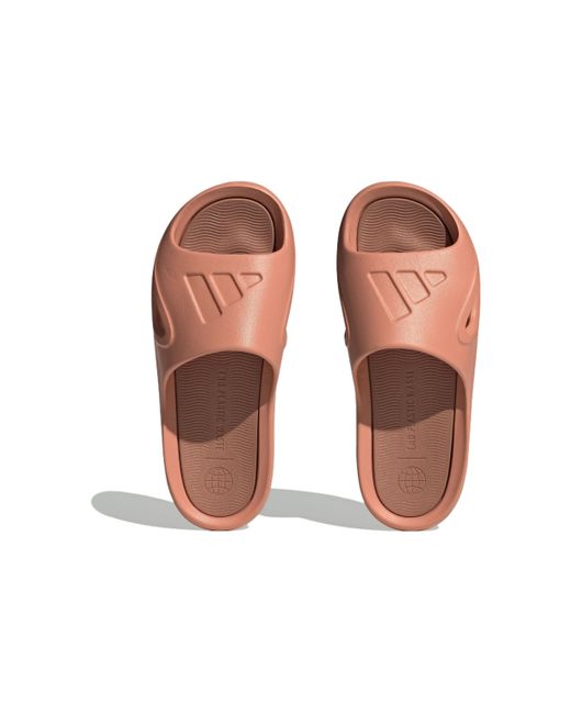 Adidas Brown Adicane Slides 'Wonder Clay' for men
