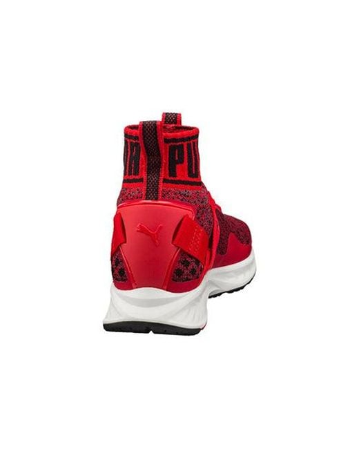 PUMA Red Ignite Evoknit for men