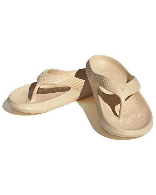 Adidas Natural Adicane Flip Flop 'Sand Strata'