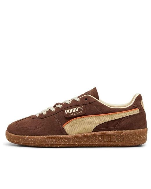PUMA Brown Palermo Cannoli 'Espresso Vanilla' for men