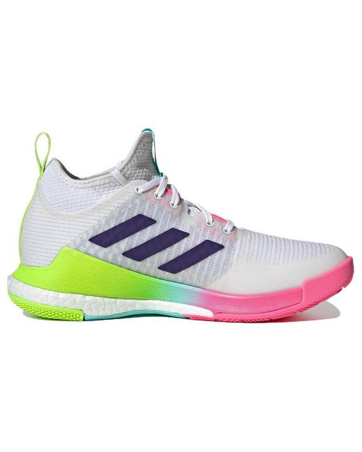 Adidas Pink (Wmns) Crazyflight Mid
