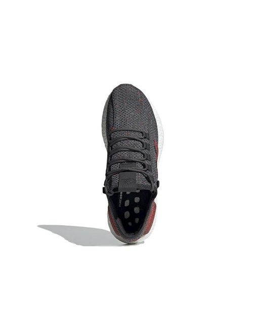 Adidas Blue Pure Boost for men