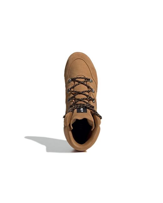 Adidas Brown Terrex Snowpitch Cold.Rdy 'Mesa' for men