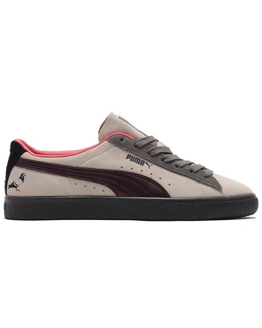 PUMA Atmos X Jeff Staple X Suede 'pigeon And Crow' in Brown for Men | Lyst