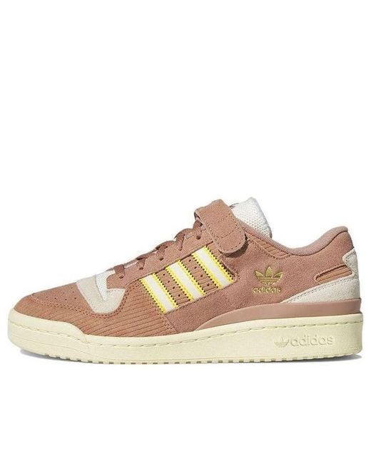 Adidas Brown Forum 84 Low for men