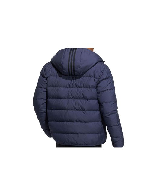 Adidas Neo Down Jacket in Blue for Men | Lyst