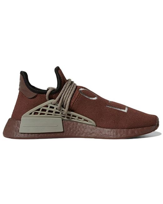 adidas Pharrell X Nmd Human Race 'chocolate' in Brown for Men | Lyst