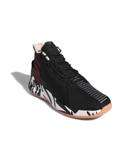 Adidas Black D Rose 9 'Zebra' for men