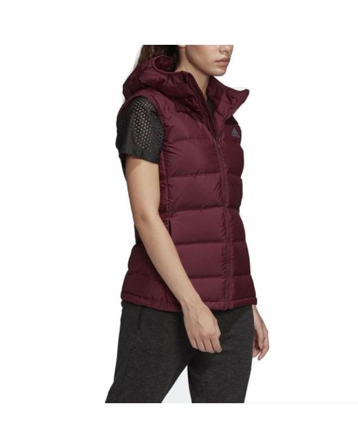 Adidas Purple (Wmns) Terrex Helionic Vest