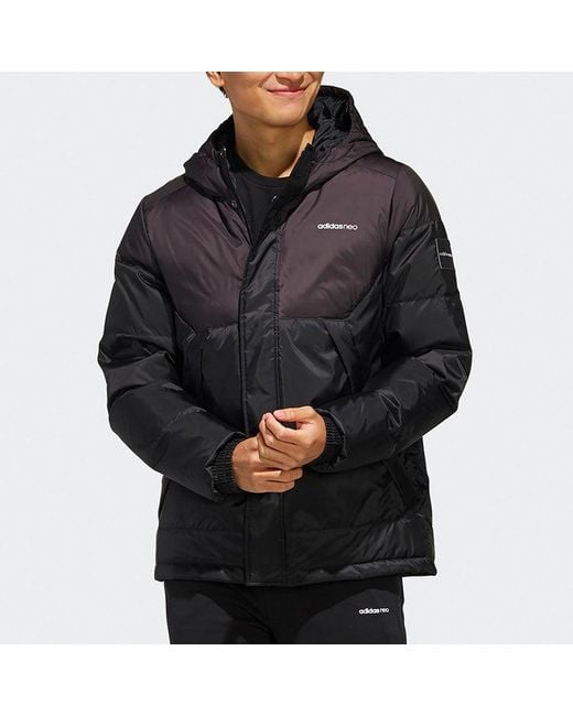 Adidas Blue Neo Solid Color Stay Warm Hooded Sports Down Jacket for men