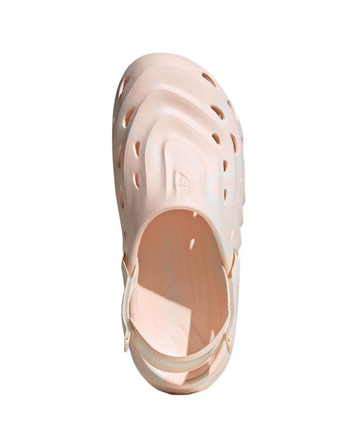 Adidas Pink Maxxclog Sandals for men