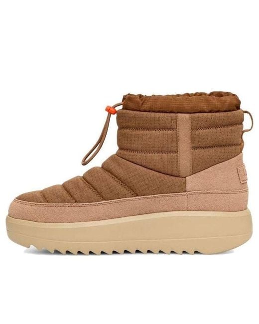 Ugg Brown Maxxer Mini 'Chestnut' for men