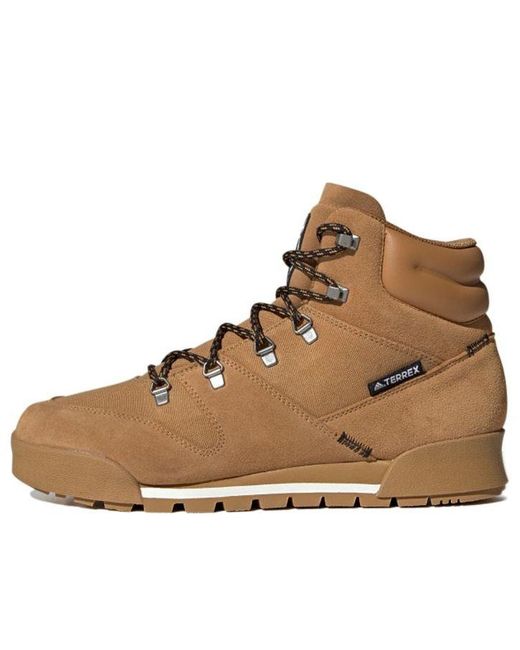 Adidas Brown Terrex Snowpitch Cold.Rdy 'Mesa' for men