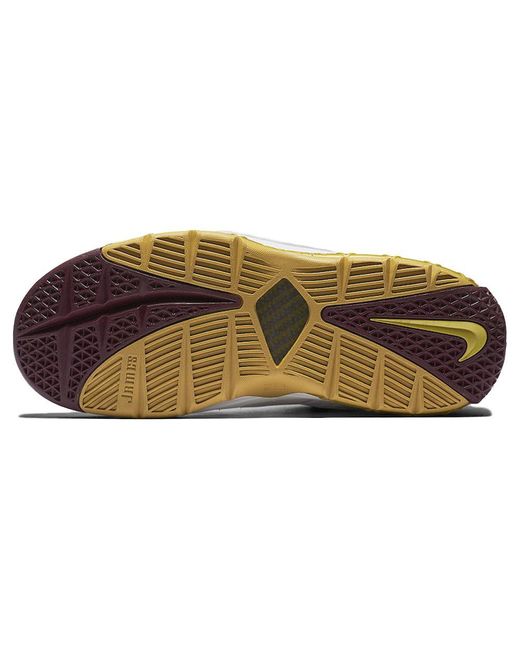 Nike Brown Zoom Lebron 3 Retro 'Christ The King' 2018 for men