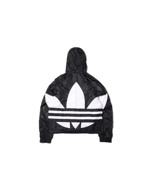 Adidas Black Originals Big Trefoil Windbreaker for men