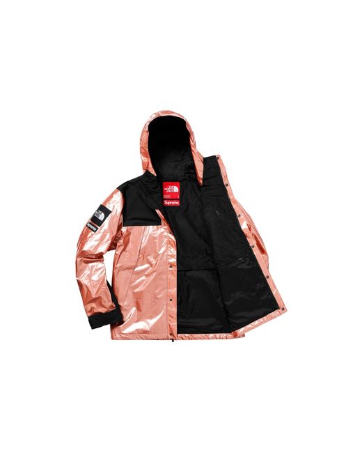 Supreme Red X The North Face Metallic Mountain Parka Rose