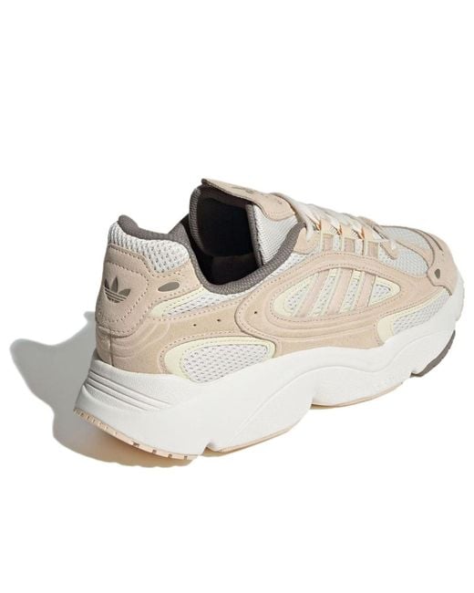 Adidas Natural Ozmillen Cream' for men