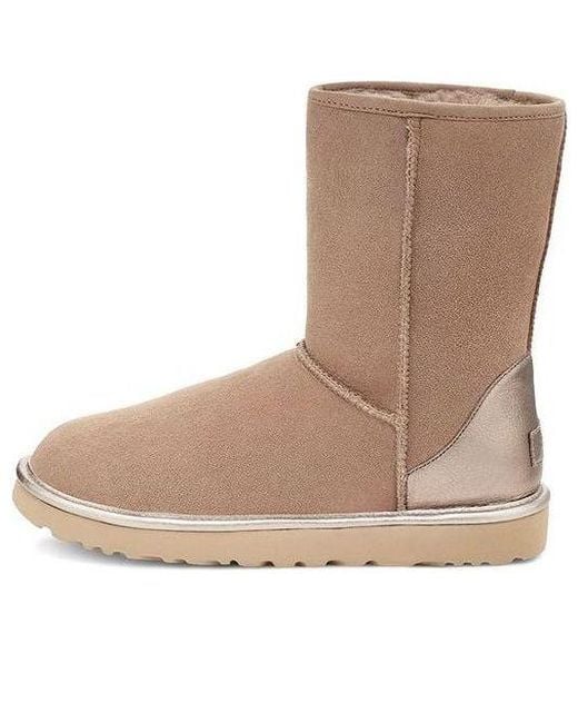 Ugg Brown (Wmns) Classic Short Shine