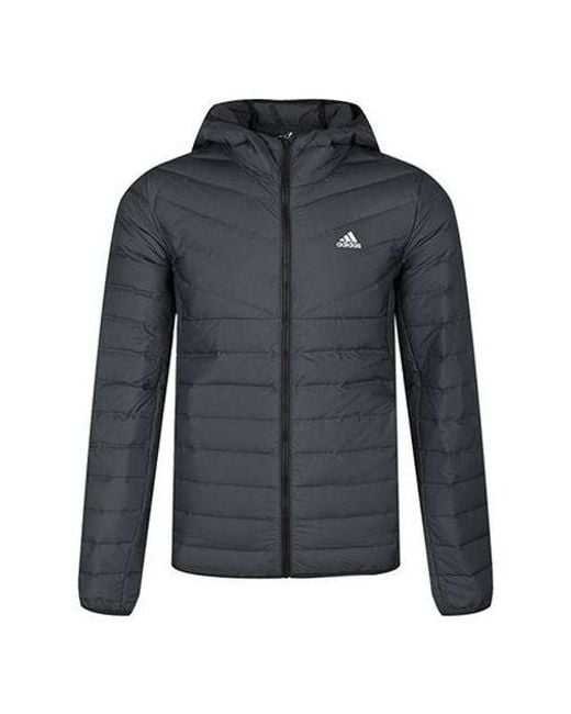 adidas Adida Varilite H J War Outdoor Logo Hooded Down Jacket Black in Blue for Men | Lyst