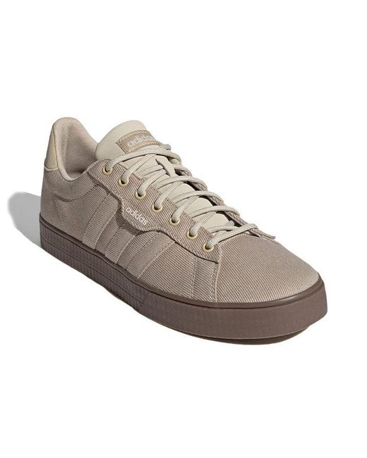 Adidas Brown Daily 3.0 'Savanna' for men