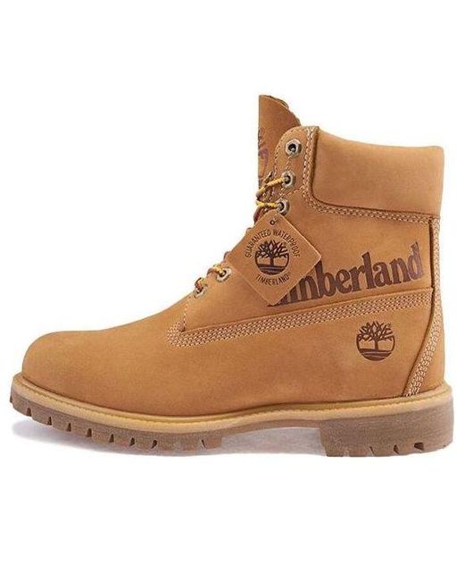 Timberland Brown 6-inch Premium Waterproof Boots for men